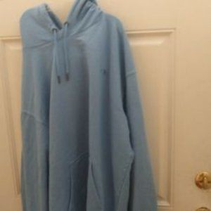 Champion Authentic Athletic Wear/Hoodie